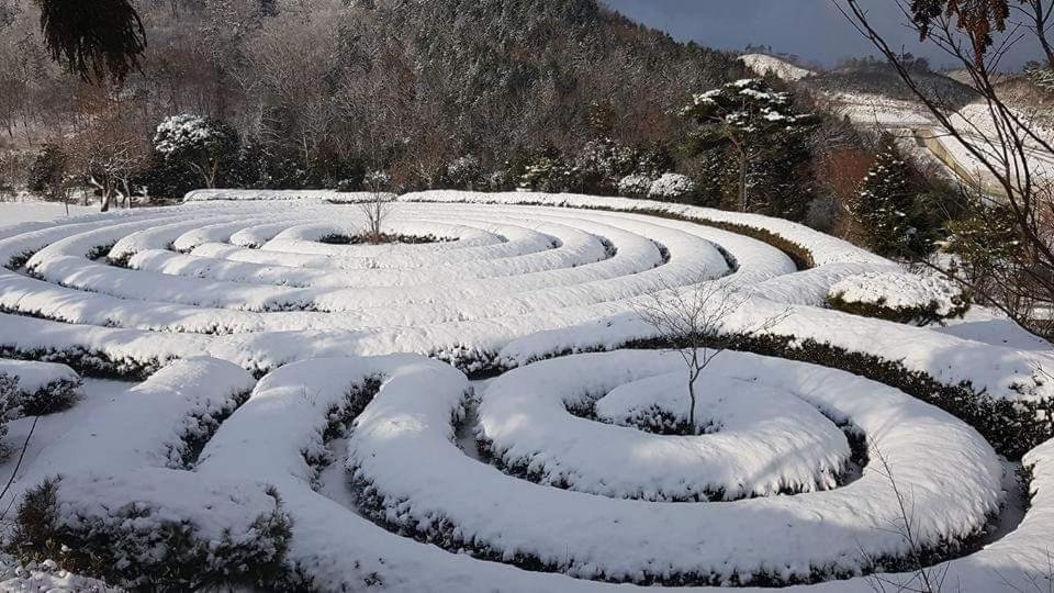 Golmangtae Pension Boseong Exterior photo